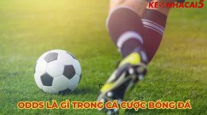 Odds là gì? Những điều cần biết về tỷ lệ cá cược bóng đá