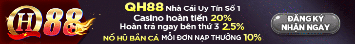 Catfish Banner